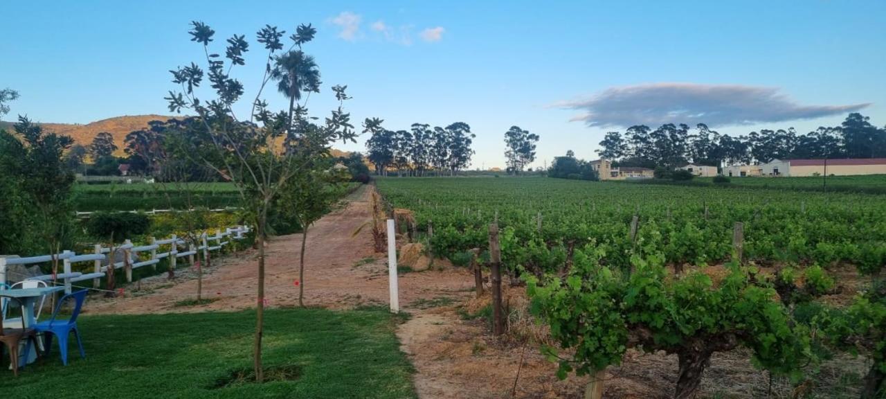 Middelplaas Paarl Guesthouse Esterno foto