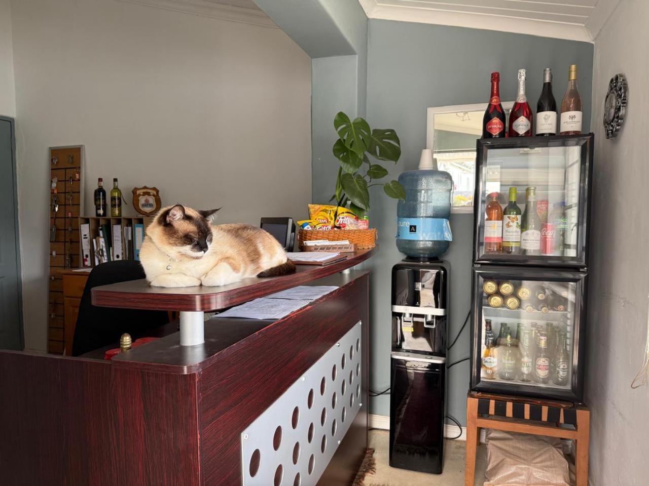 Middelplaas Paarl Guesthouse Esterno foto